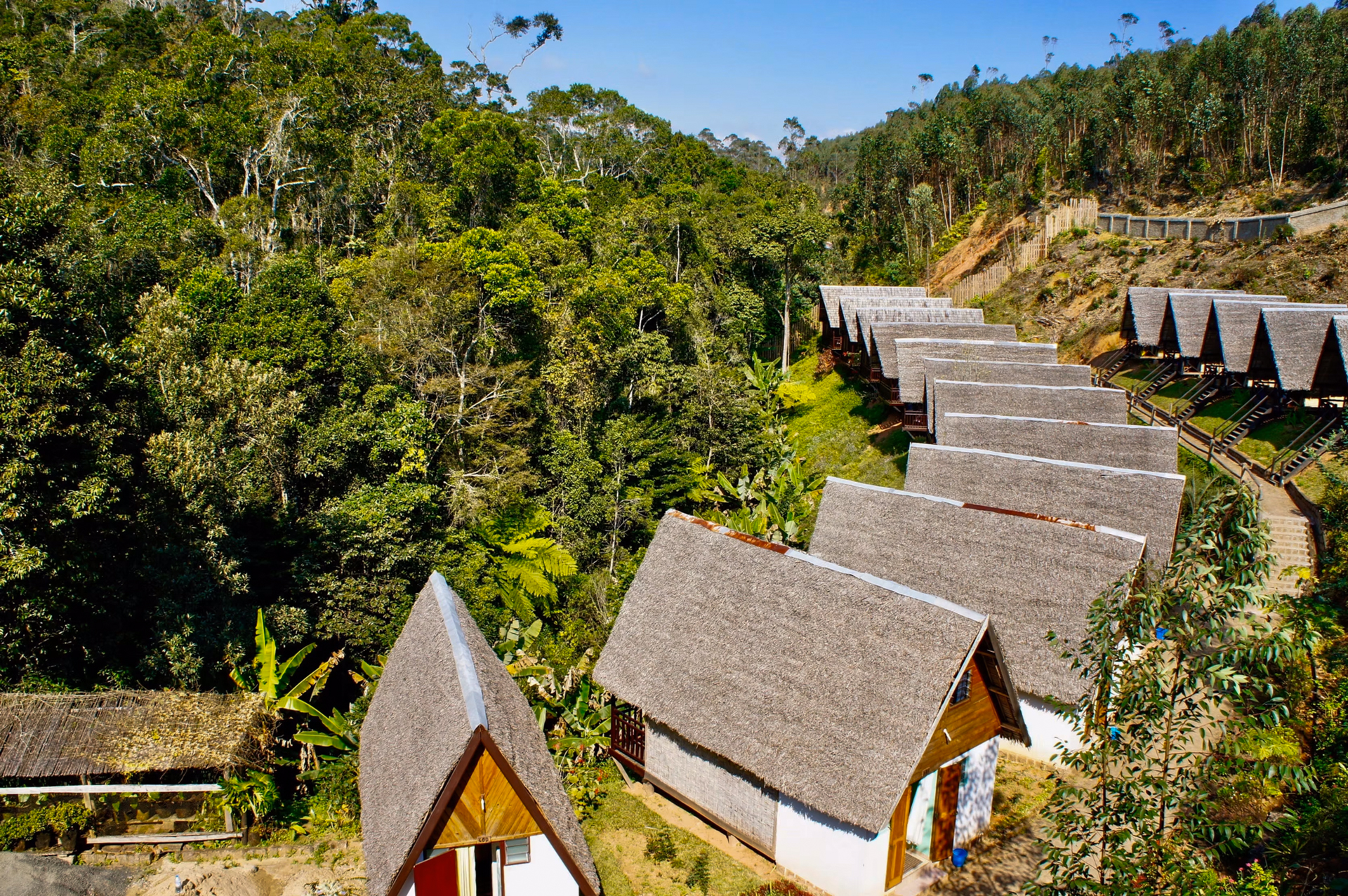 Feon' ny Ala rainforest-edge hotel