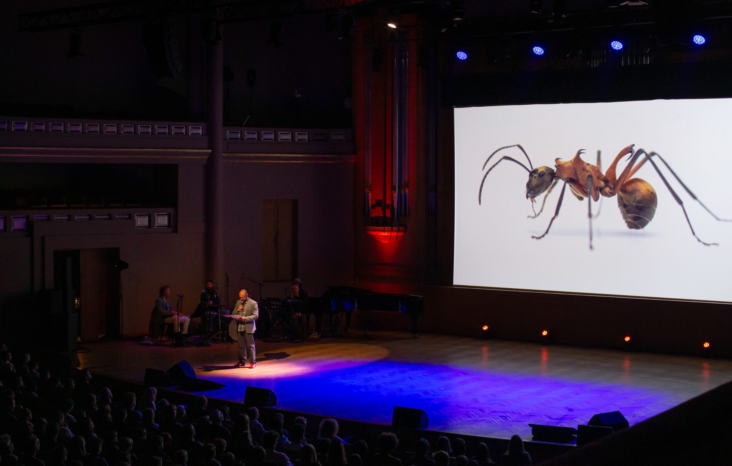 Eduard Niga presenting to a theatre audience with an ant projected on screen